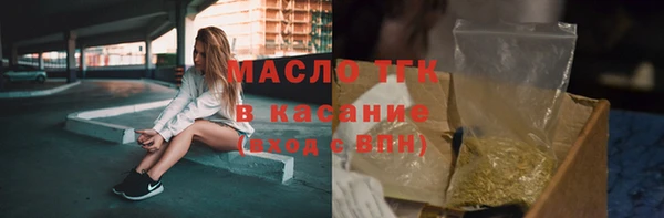 прущий лед Вяземский