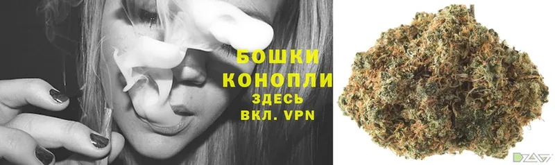 где купить наркоту  Лесосибирск  Каннабис White Widow 